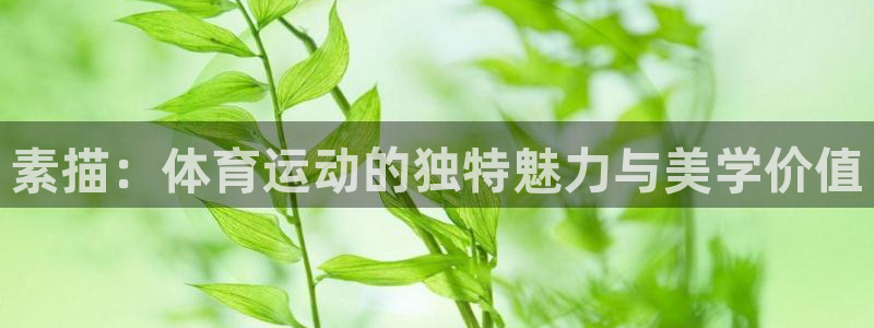 oety欧亿：素描：体育运动的独特魅力与美学价值