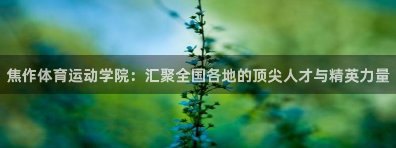 oety欧亿：焦作体育运动学院：汇聚全国各地的顶尖人才与精英力量