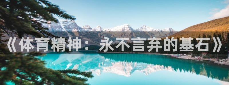 oety欧亿：《体育精神：永不言弃的基石》