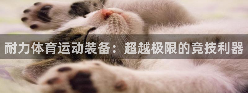 oety欧亿：耐力体育运动装备：超越极限的竞技利器