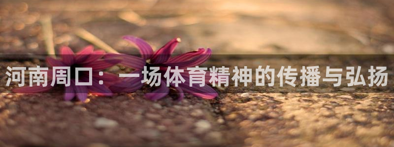 oety欧亿：河南周口：一场体育精神的传播与弘扬