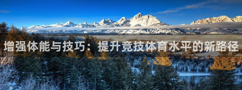 oety欧亿：增强体能与技巧：提升竞技体育水平的新路径