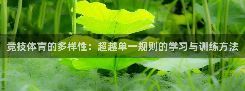 oety欧亿：竞技体育的多样性：超越单一规则的学习与训练方法